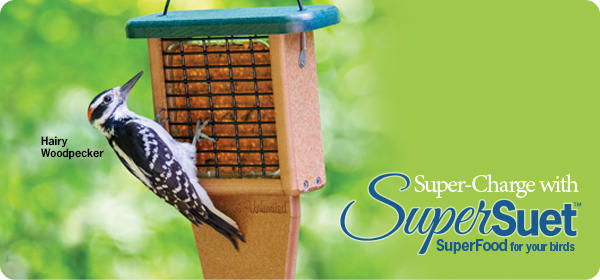 Super-Charge with SuperSuet™ - Super Food for Your Birds